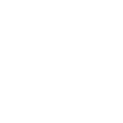 icons-standard-practices-min